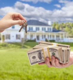 How does the property in bangkok help in customization?