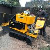 How Stump Grinding Helps Prevent Unwanted Tree Regrowth Effectively