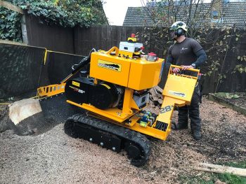 How Stump Grinding Helps Prevent Unwanted Tree Regrowth Effectively